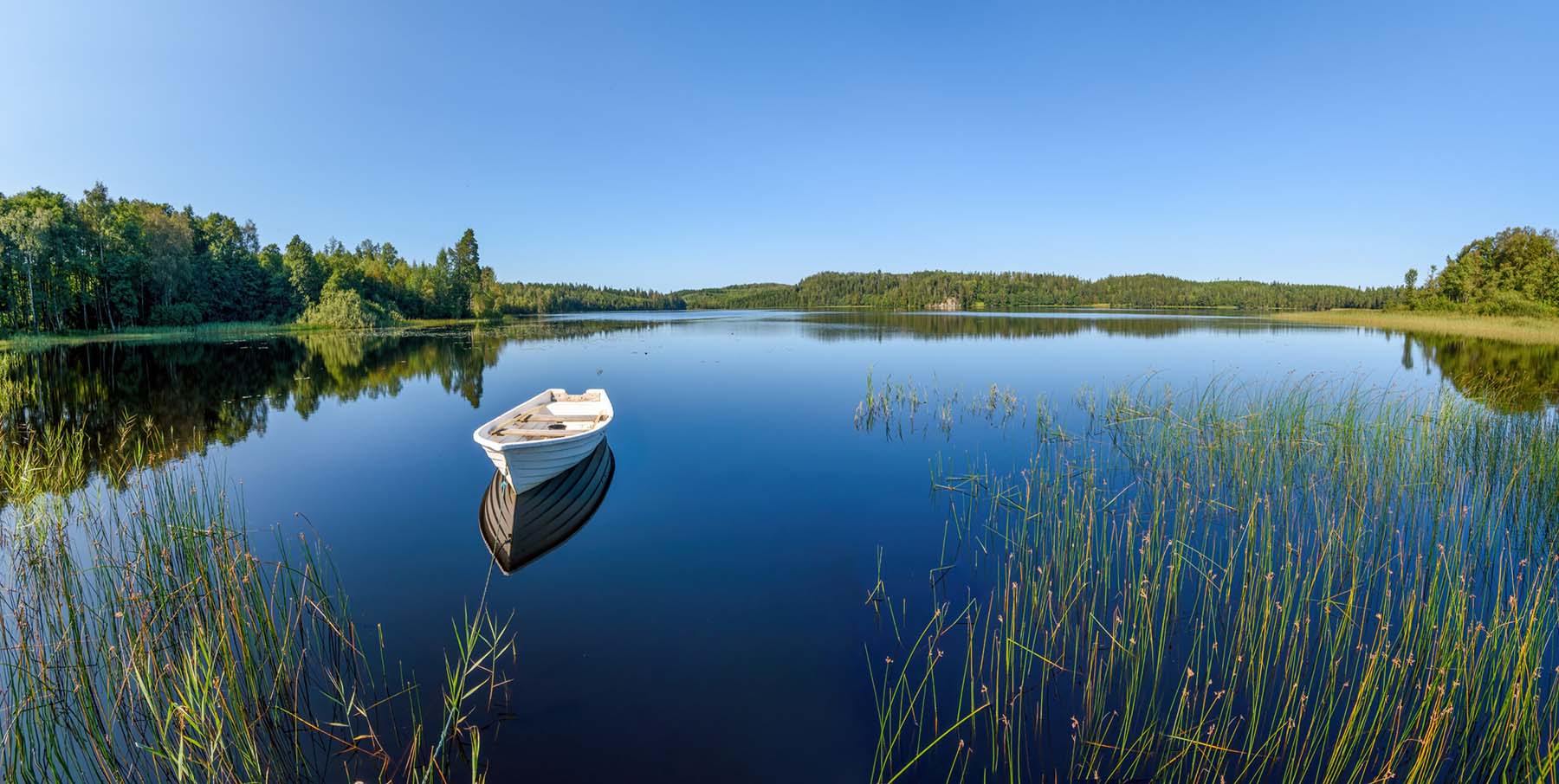 Fin sommarbild med båt i en vik